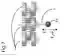Fig. 08 - Acoustophoretic printing apparatus and method
