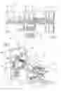 Fig. 02 - Perfected machine and method for packaging in extensible film products fed in groups or individually