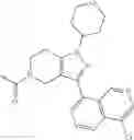 Fig. 554 - Therapeutic compounds and uses thereof