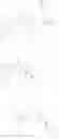 Fig. 445 - TYK2 inhibitors and uses thereof