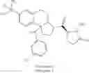 Fig. 489 - Tricyclic sulfones as RORγ modulators
