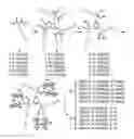 Fig. 01 - Mesitylene-cored amphiphiles and uses thereof