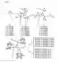 Fig. 02 - Mesitylene-cored amphiphiles and uses thereof