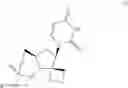 Fig. 03 - Uracyl spirooxetane nucleosides