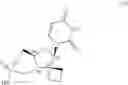 Fig. 07 - Uracyl spirooxetane nucleosides