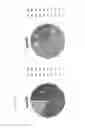 Fig. 06 - Soluble intein fusion proteins and methods for purifying biomolecules