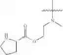 Fig. 136 - Protein-polymer-drug conjugates