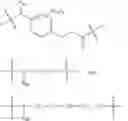Fig. 45 - Protein-polymer-drug conjugates