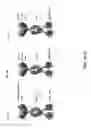 Fig. 07 - BISPECIFIC FUSION POLYPEPTIDES AND METHODS OF USE THEREOF