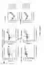 Fig. 35 - BISPECIFIC FUSION POLYPEPTIDES AND METHODS OF USE THEREOF