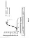 Fig. 63 - BISPECIFIC FUSION POLYPEPTIDES AND METHODS OF USE THEREOF