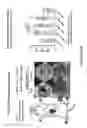 Fig. 72 - BISPECIFIC FUSION POLYPEPTIDES AND METHODS OF USE THEREOF