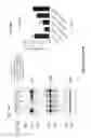 Fig. 79 - BISPECIFIC FUSION POLYPEPTIDES AND METHODS OF USE THEREOF