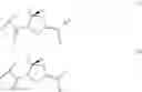 Fig. 31 - Anti-B7-H4 antibodies and immunoconjugates
