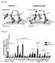 Fig. 02 - Compositions and methods for inducing phagocytosis of MHC class I positive cells and countering anti-CD47/SIRPA resistance