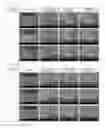 Fig. 02 - Polymer resin compound and photosensitive resin composition for black bank comprising same