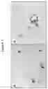 Fig. 02 - Plant comprising recombinant polynucleotides encoding a pigment regulatory transcription factor with a tissue-preferred promoter