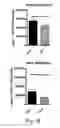 Fig. 31 - Treatment of diseases by liver expression of an enzyme which has a deoxyribonuclease (DNase) activity