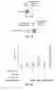 Fig. 04 - Cell-associated secretion-enhancing fusion proteins