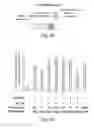 Fig. 06 - Cell-associated secretion-enhancing fusion proteins