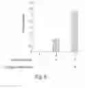 Fig. 08 - Cell-associated secretion-enhancing fusion proteins