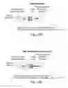 Fig. 14 - Cell-associated secretion-enhancing fusion proteins