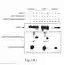 Fig. 19 - Cell-associated secretion-enhancing fusion proteins