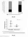 Fig. 07 - BIOMARKER FOR PREDICTING RESPONSIVENESS TO ANTICANCER AGENT FOR GASTRIC CANCER AND USE THEREOF