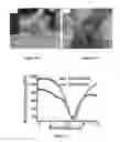Fig. 18 - Sapphire thin film coated substrate