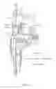 Fig. 08 - Vehicle door lock device