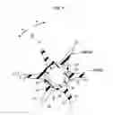 Fig. 02 - Curved flexible impeller