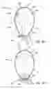 Fig. 05 - Lighting device for a light source