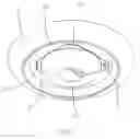 Fig. 04 - Ceiling fitting with a lighting module