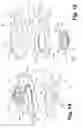 Fig. 10 - Household cooking appliance