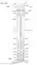 Fig. 54 - System, components, and methods for air, heat, and humidity exchanger