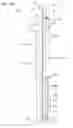 Fig. 55 - System, components, and methods for air, heat, and humidity exchanger