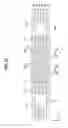 Fig. 17 - Loop heat pipe