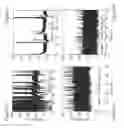 Fig. 07 - DIGITAL PROTEIN SENSING CHIP AND METHODS FOR DETECTION OF LOW CONCENTRATIONS OF MOLECULES