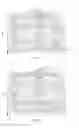 Fig. 04 - Immunofixation electrophoresis method with target component on-gel immunodisplacement