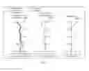 Fig. 18 - Optical image capturing system