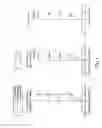 Fig. 09 - Image capturing optical system, imaging apparatus and electronic device