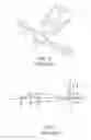 Fig. 02 - SPIM microscope with a sequential light sheet