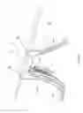 Fig. 06 - Flexible eyewear assembly