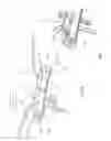 Fig. 03 - Flexible bridge assembly for rimless eyewear