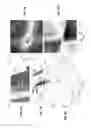 Fig. 06 - Tunable graphene metamaterials for beam steering and tunable flat lenses