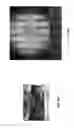 Fig. 08 - Tunable graphene metamaterials for beam steering and tunable flat lenses