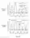 Fig. 06 - Mask pattern verification method