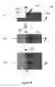 Fig. 06 - Photolithography device for generating pattern on a photoresist substrate