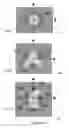 Fig. 07 - Photolithography device for generating pattern on a photoresist substrate