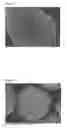 Fig. 02 - Crash cooling method to prepare toner
